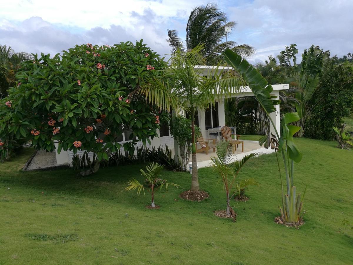 Villa Domaine Vista Linda La casita del Loma à Río San Juan Extérieur photo